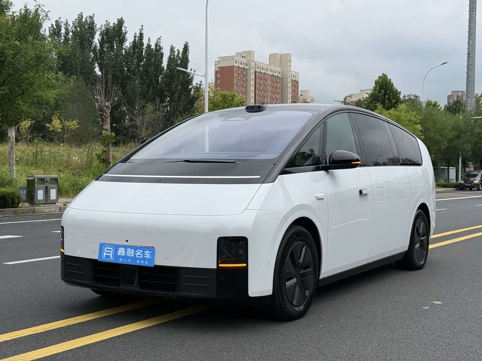 LiXiang MEGA, фото 1 из 1