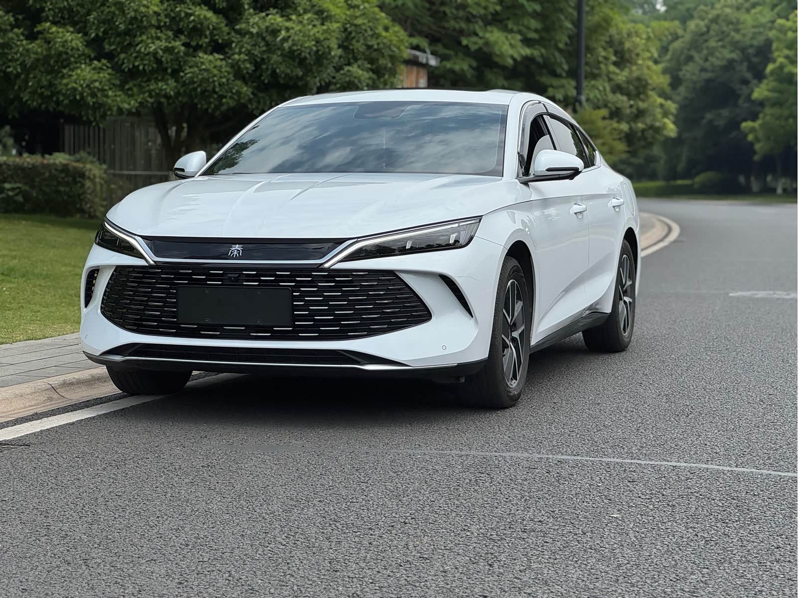 BYD Qin L, фото 1 из 1