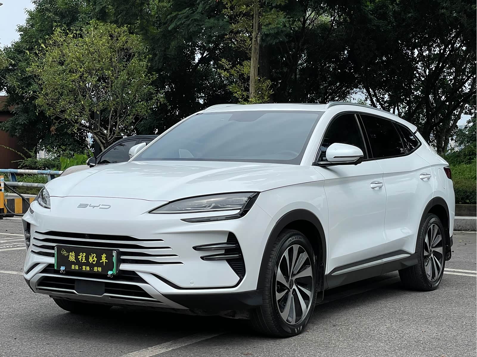 BYD Song Plus Champion, фото 1 из 1