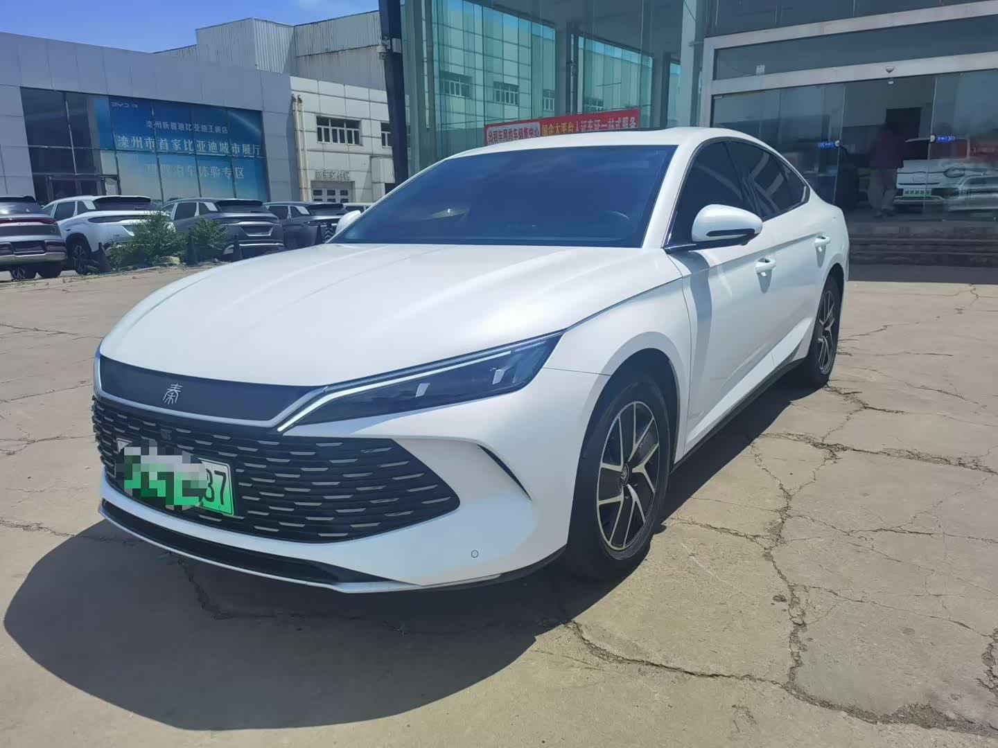 BYD Qin L, фото 1 из 1