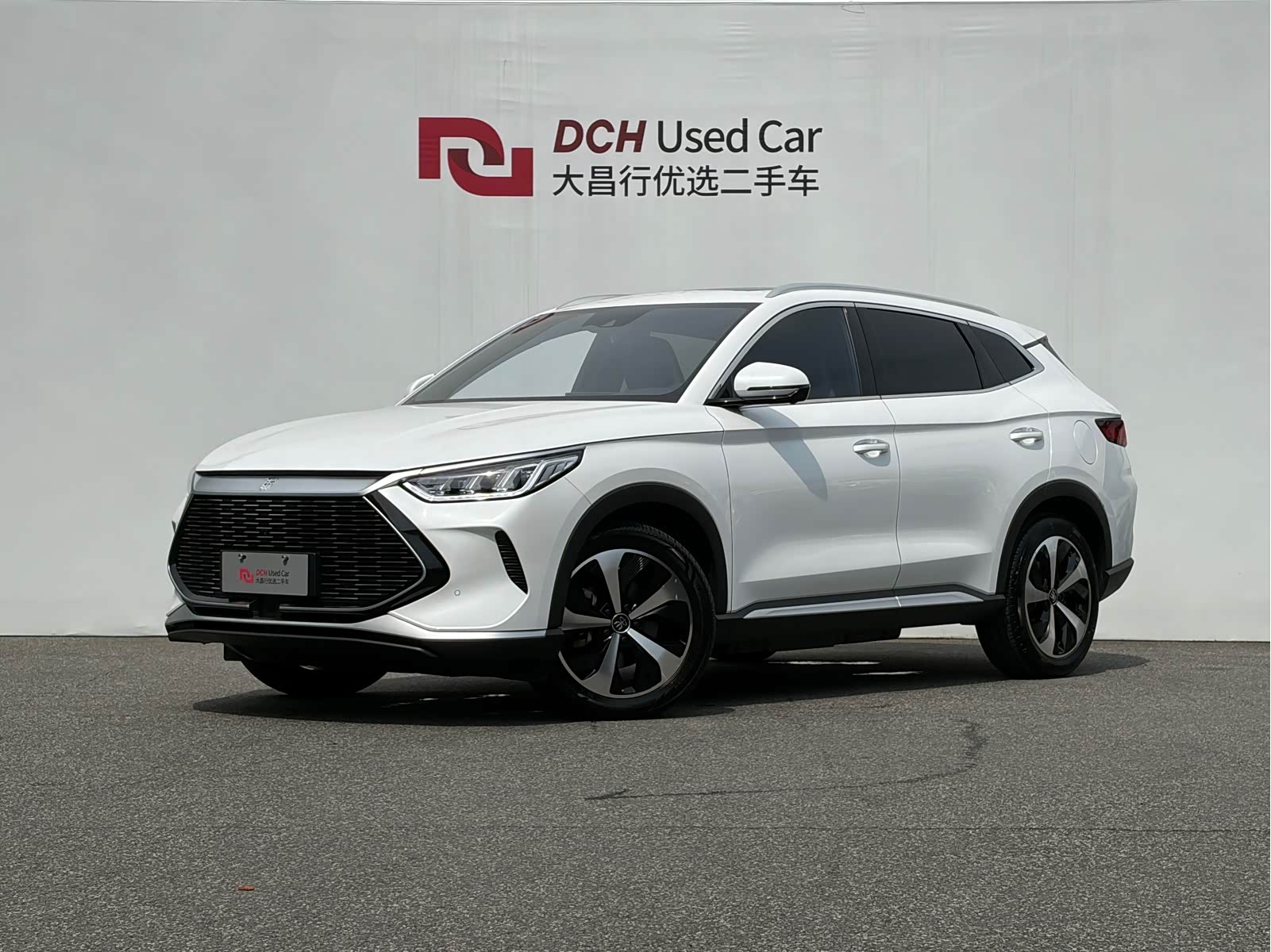 BYD Song Plus Plus, фото 1 из 1