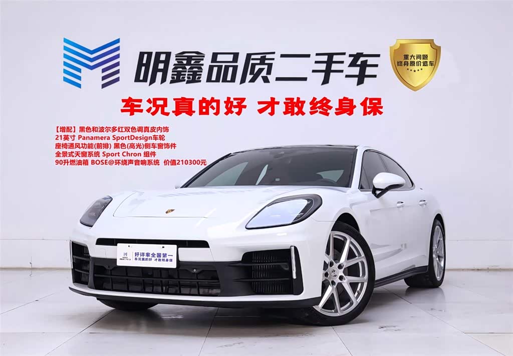 Porsche Panamera, фото 1 из 1
