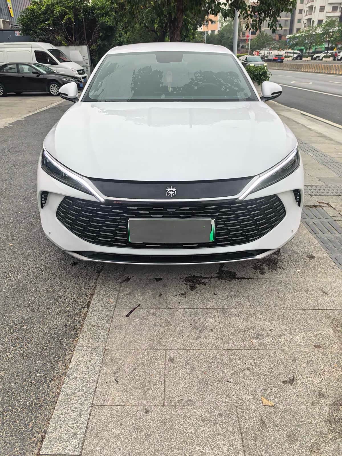 BYD Qin L, фото 1 из 1