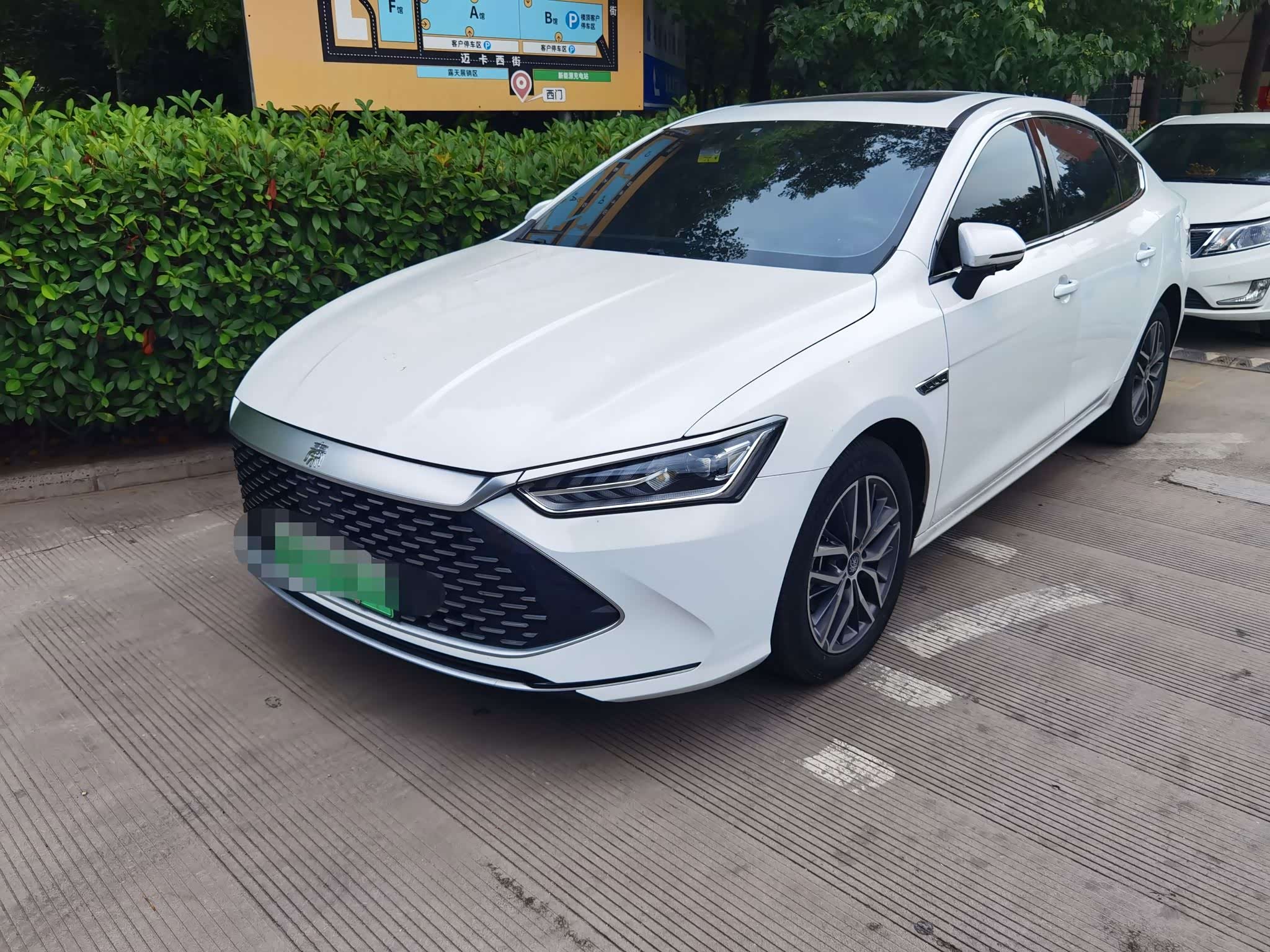 BYD Qin Plus Champion, фото 1 из 1