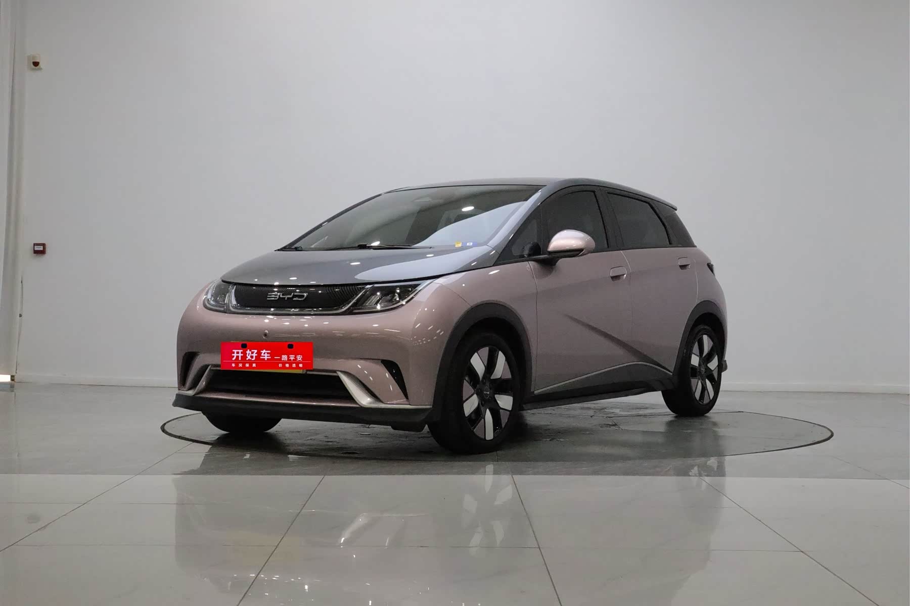 BYD Dolphin, фото 1 из 1