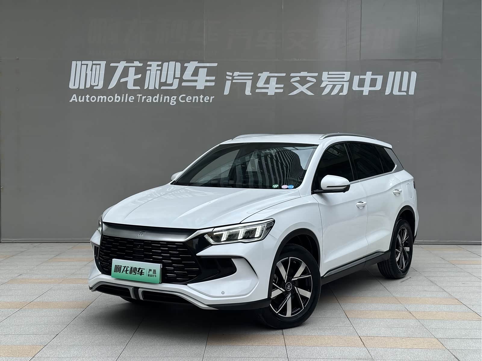 BYD Song Pro Champion, фото 1 из 1