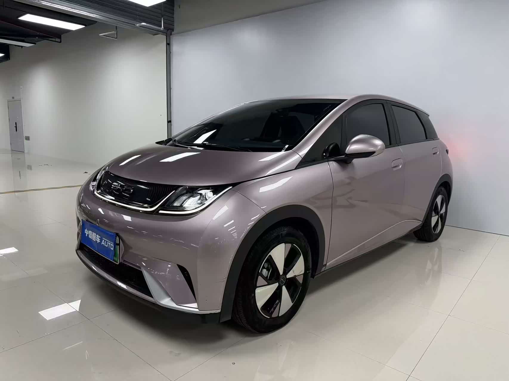 BYD Dolphin, фото 1 из 1