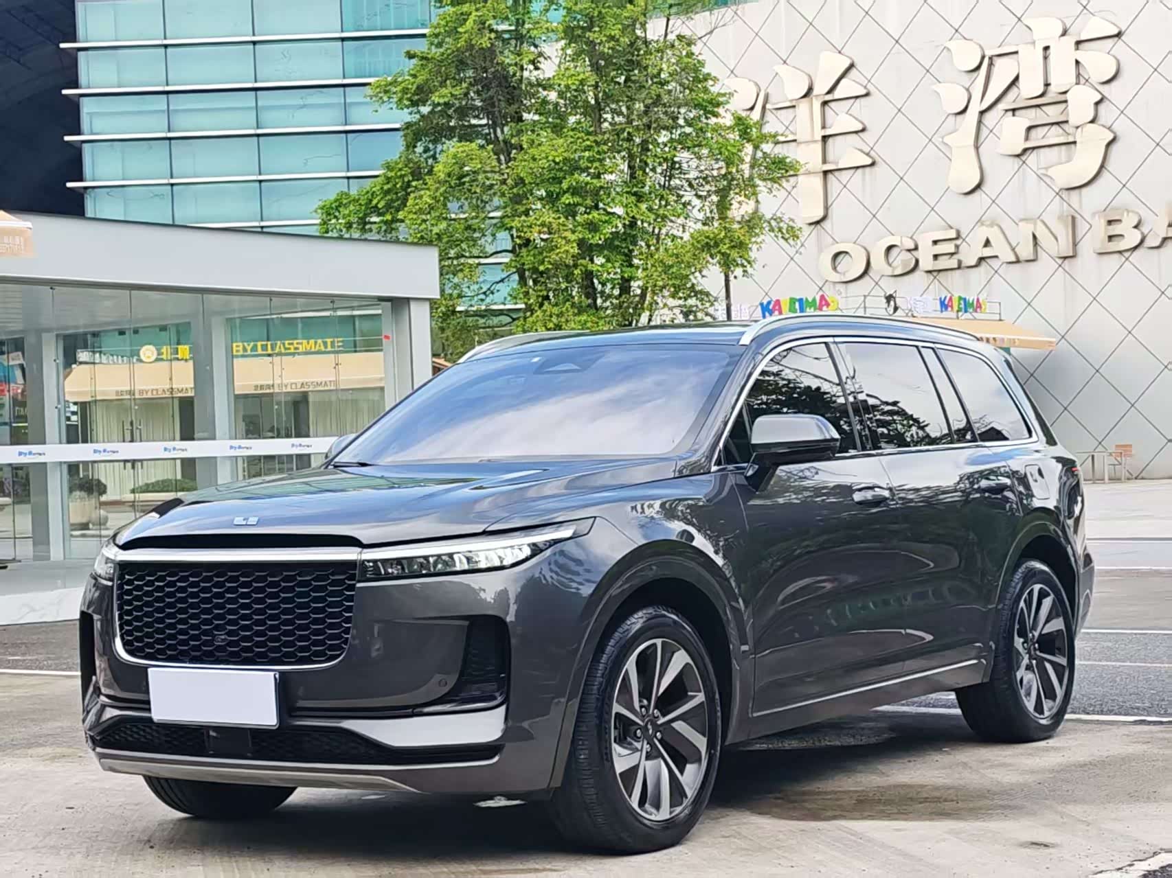 LiXiang ONE, фото 1 из 1