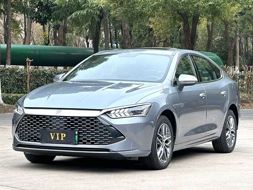 BYD Qin Plus Champion, фото 1 из 1