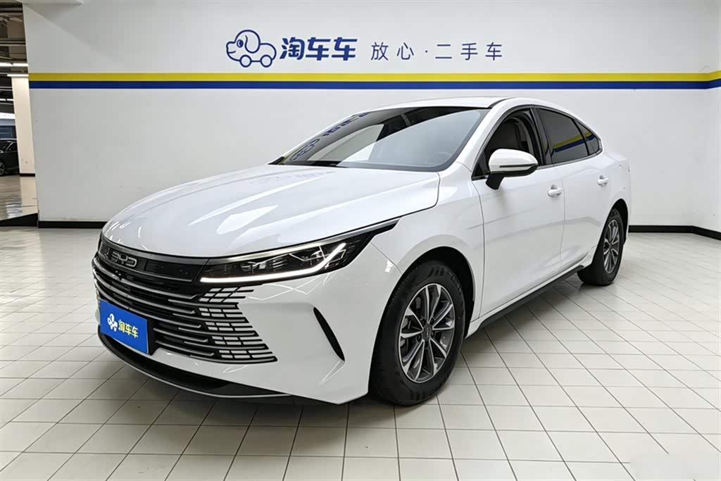 BYD Destroyer 05, фото 1 из 1
