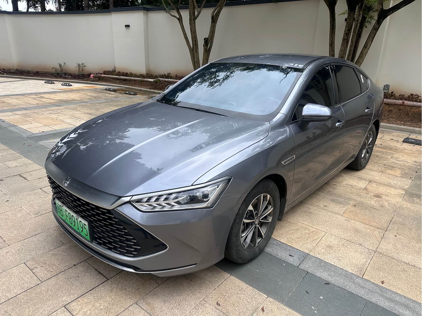 BYD Qin Plus, фото 1 из 1