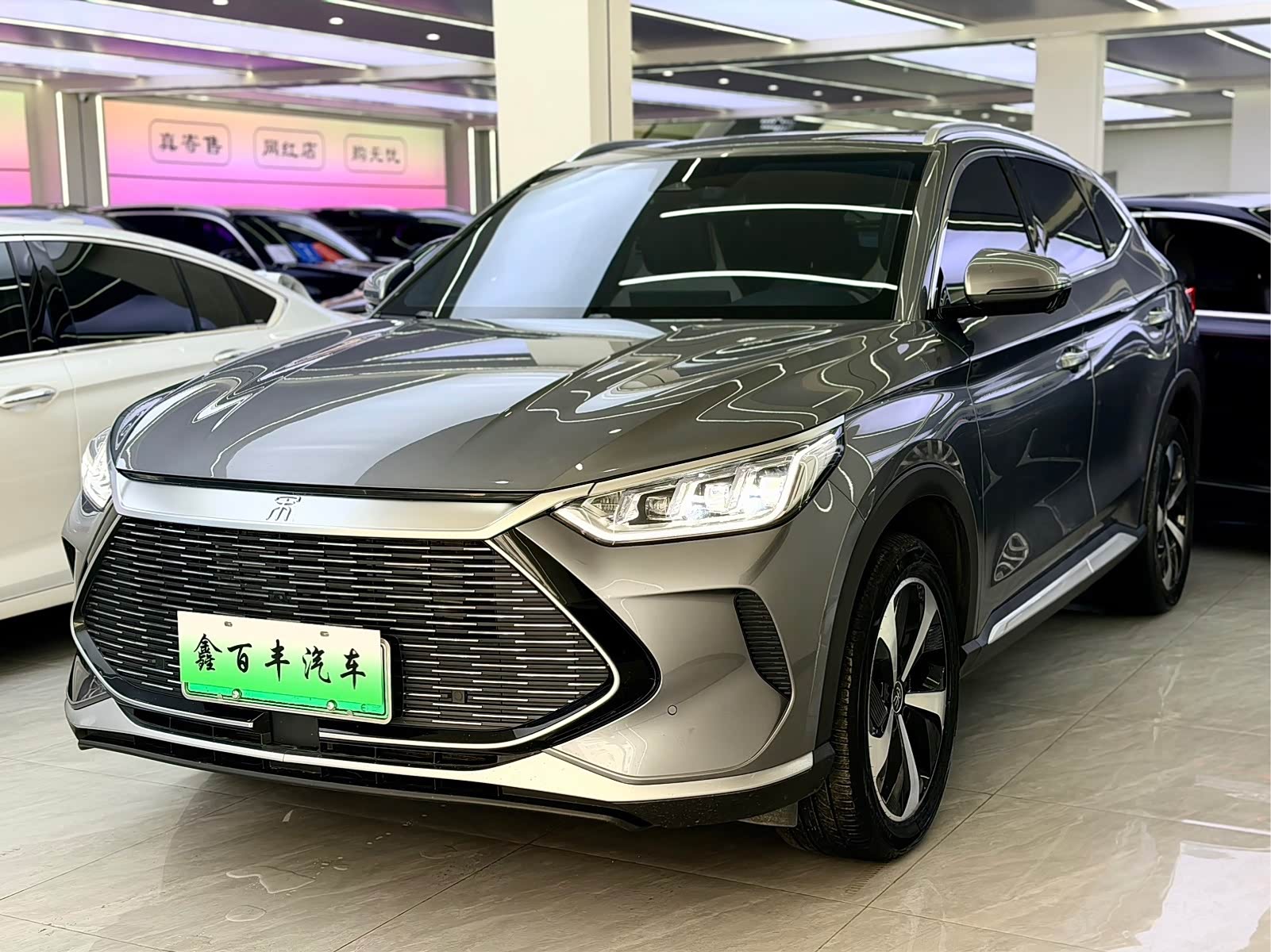 BYD Song Plus Plus, фото 1 из 1