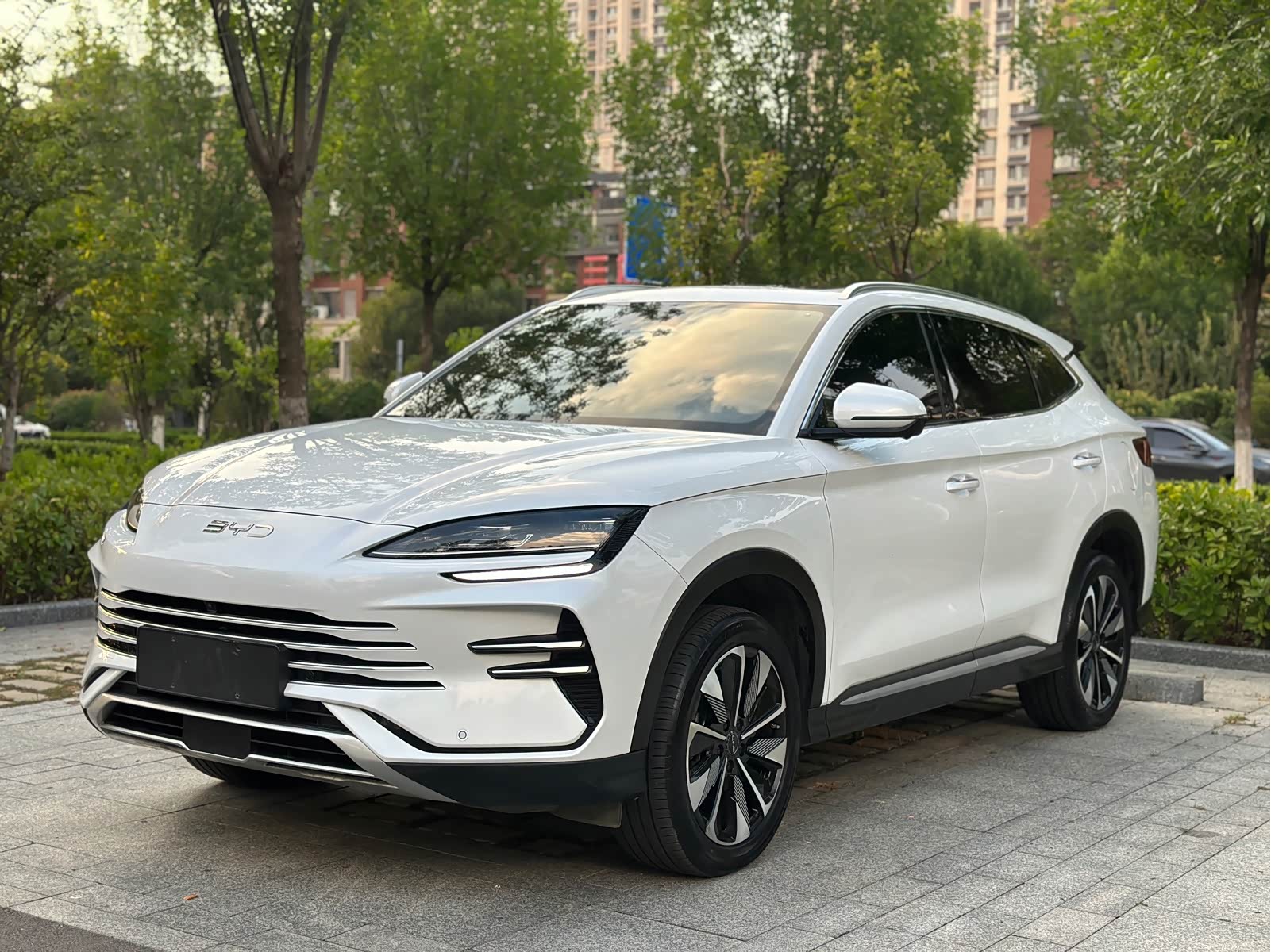 BYD Song Plus, фото 1 из 1