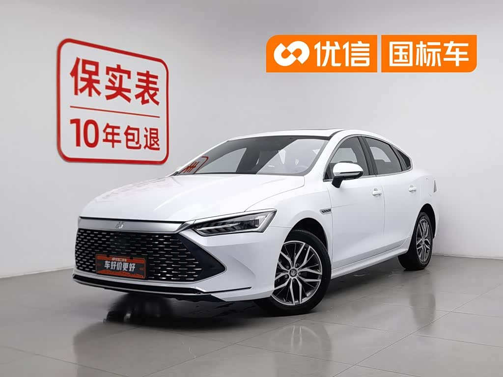 BYD Qin Plus Champion, фото 1 из 1