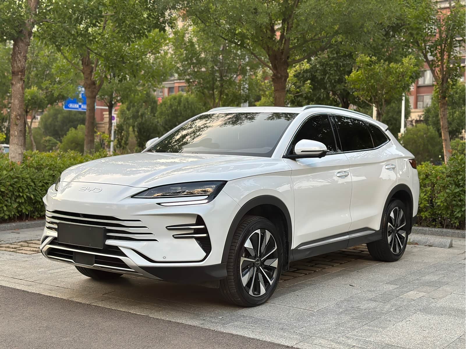 BYD Song Plus, фото 1 из 1