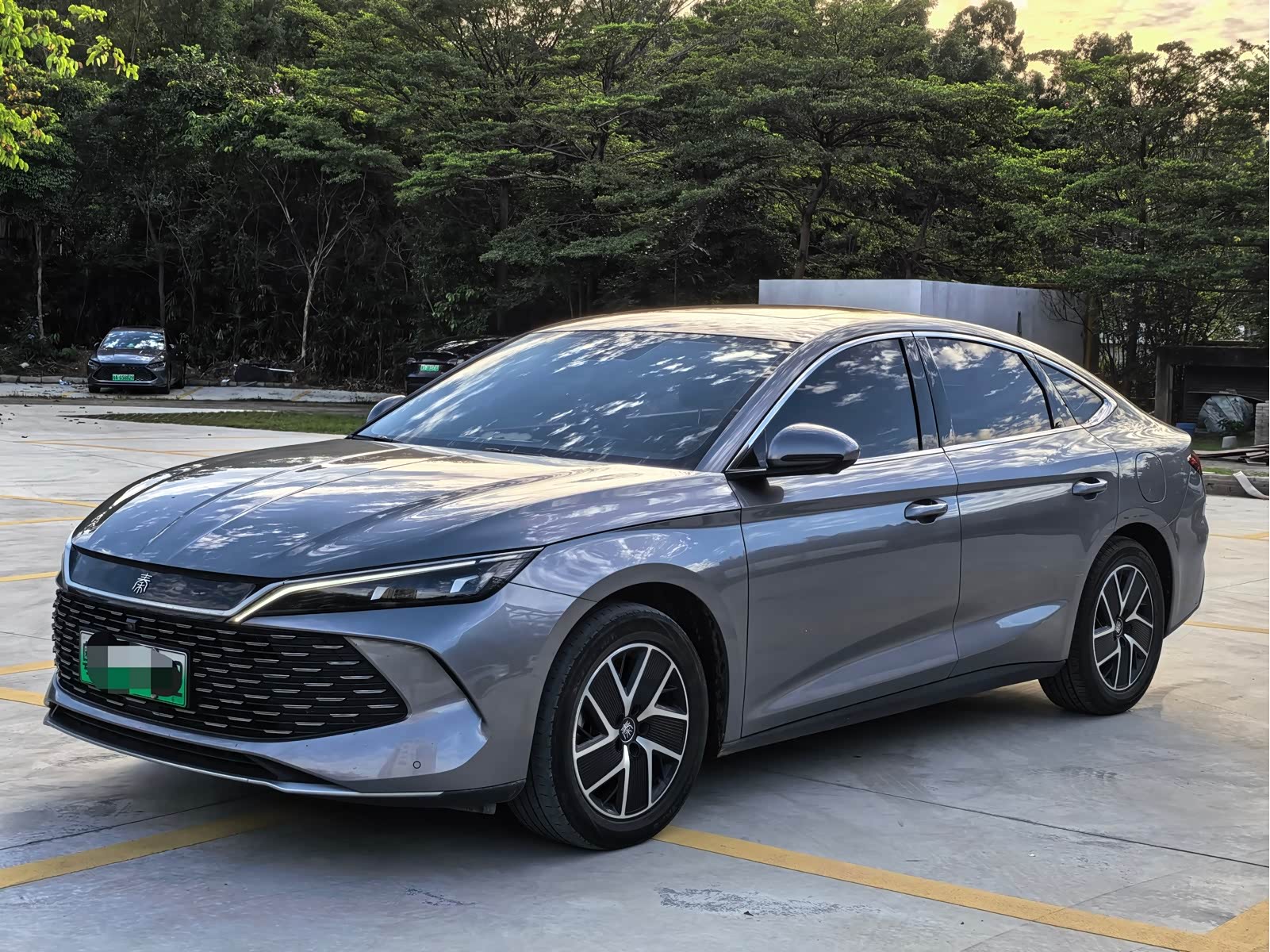 BYD Qin L, фото 1 из 1