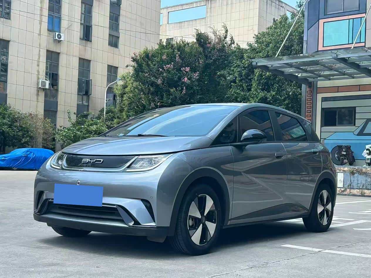 BYD Dolphin