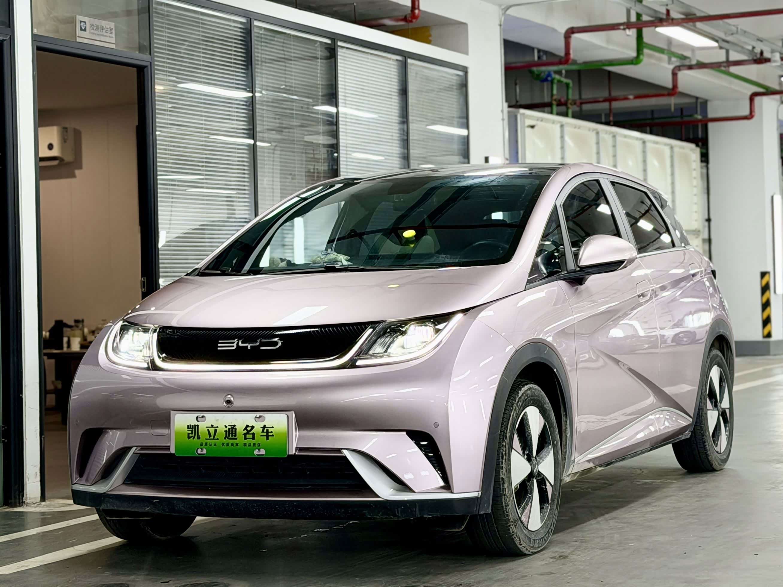 BYD Dolphin, фото 1 из 1