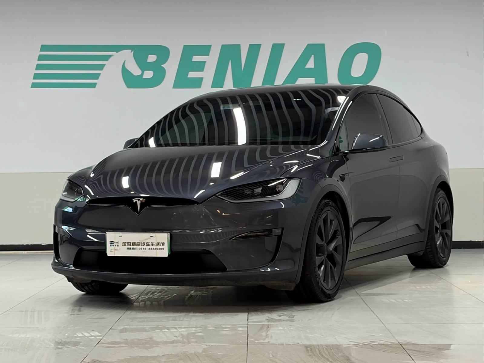 Tesla Model X, фото 1 из 1