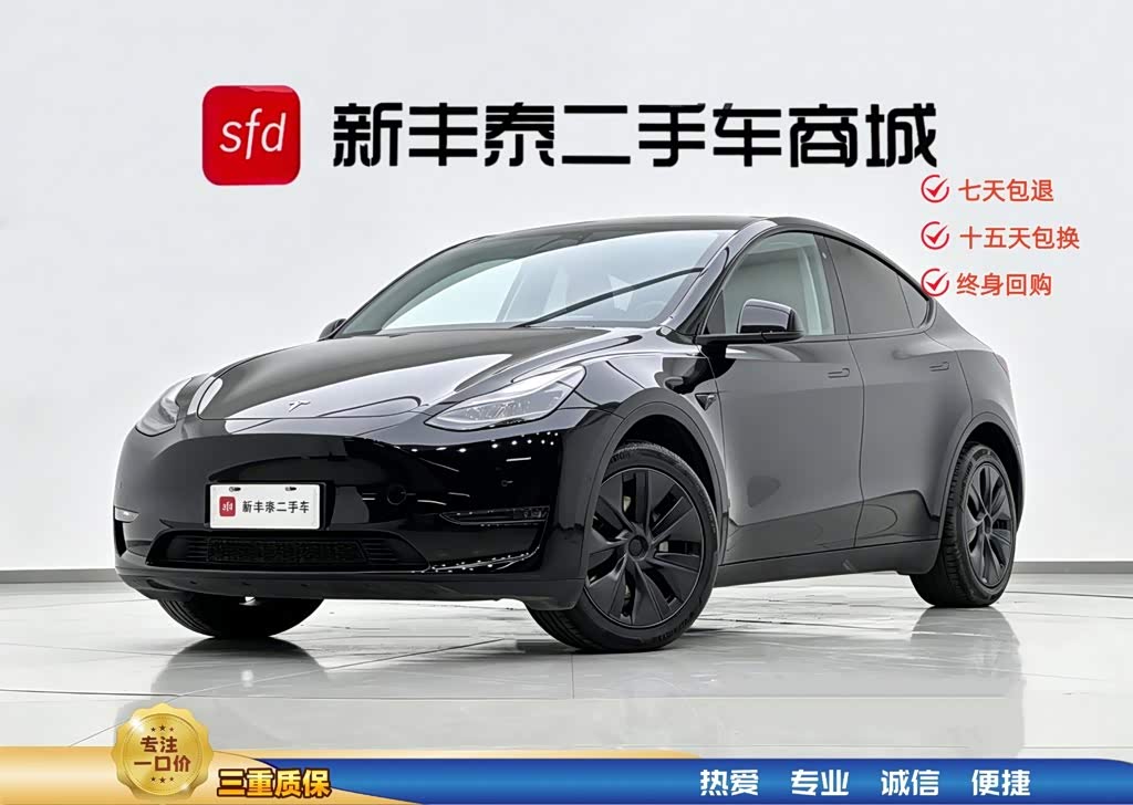 Tesla Model Y, фото 1 из 1