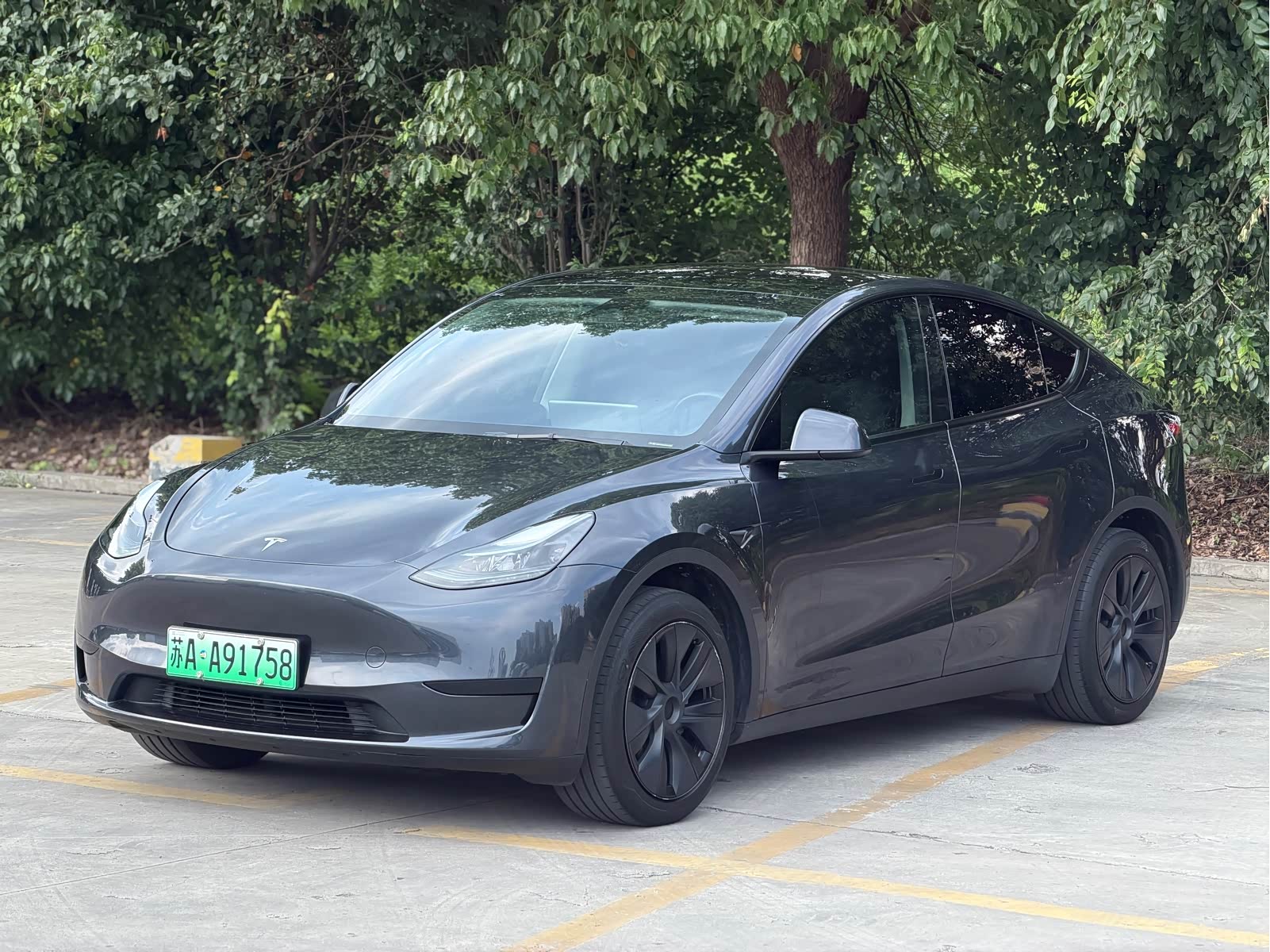 Tesla Model Y, фото 1 из 1