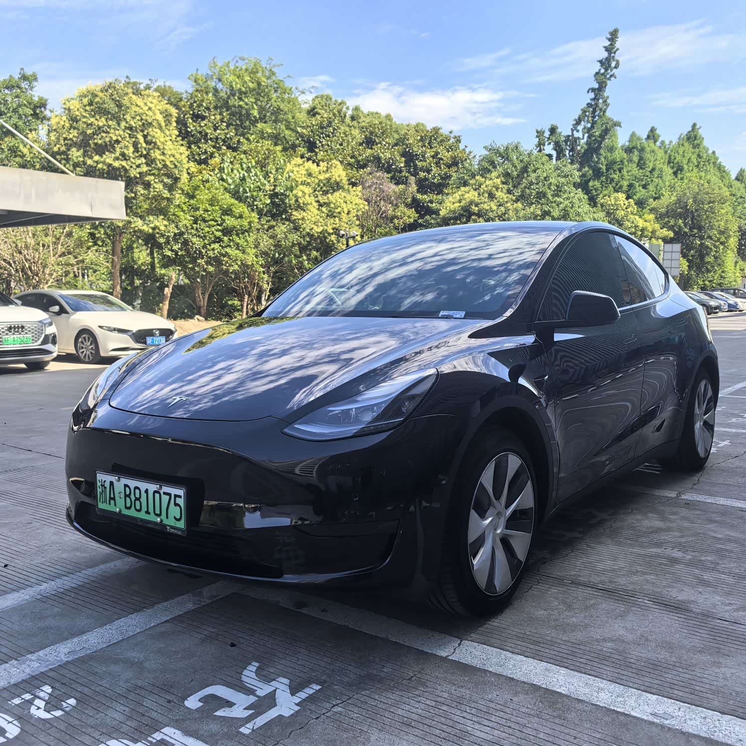 Tesla Model Y, фото 1 из 1