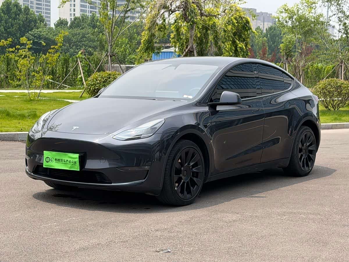 Tesla Model Y, фото 1 из 1