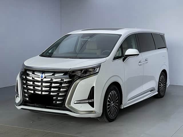 Denza D9, фото 1 из 1
