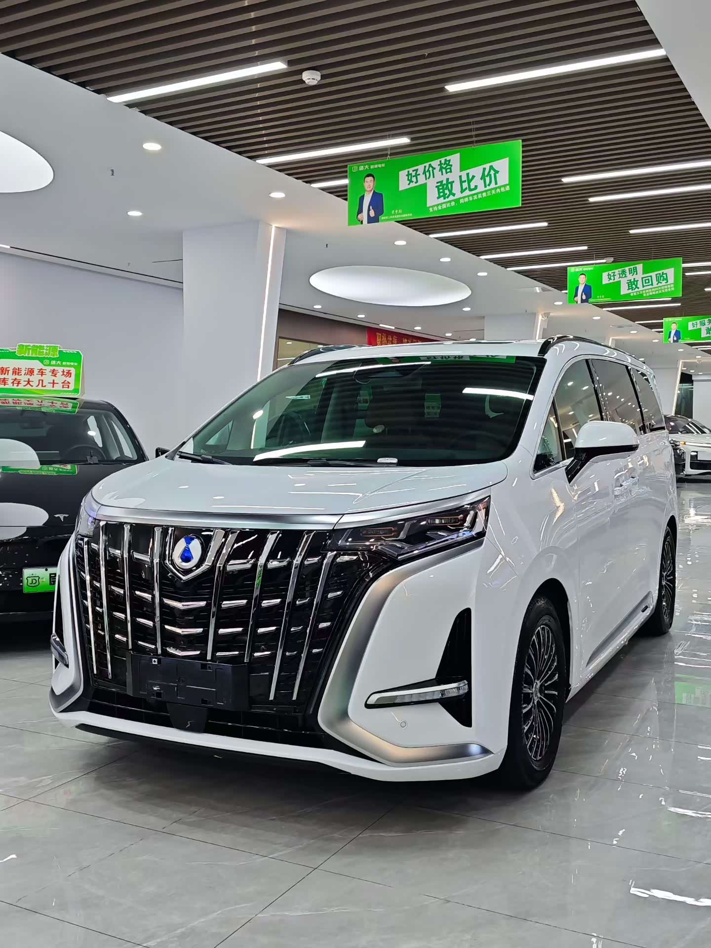 Denza D9