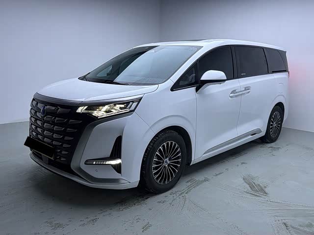 Denza D9