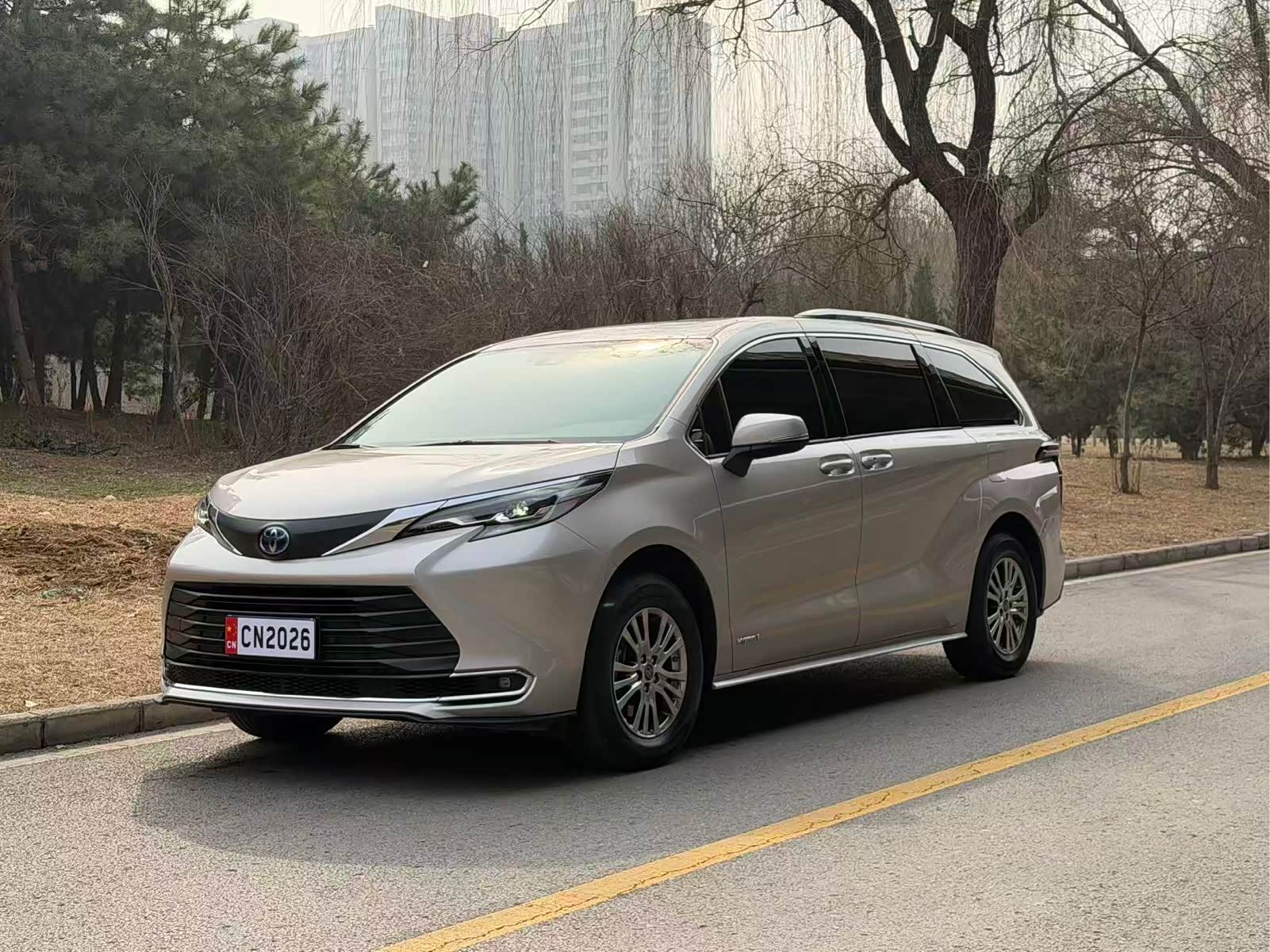 Toyota Sienna, фото 1 из 1