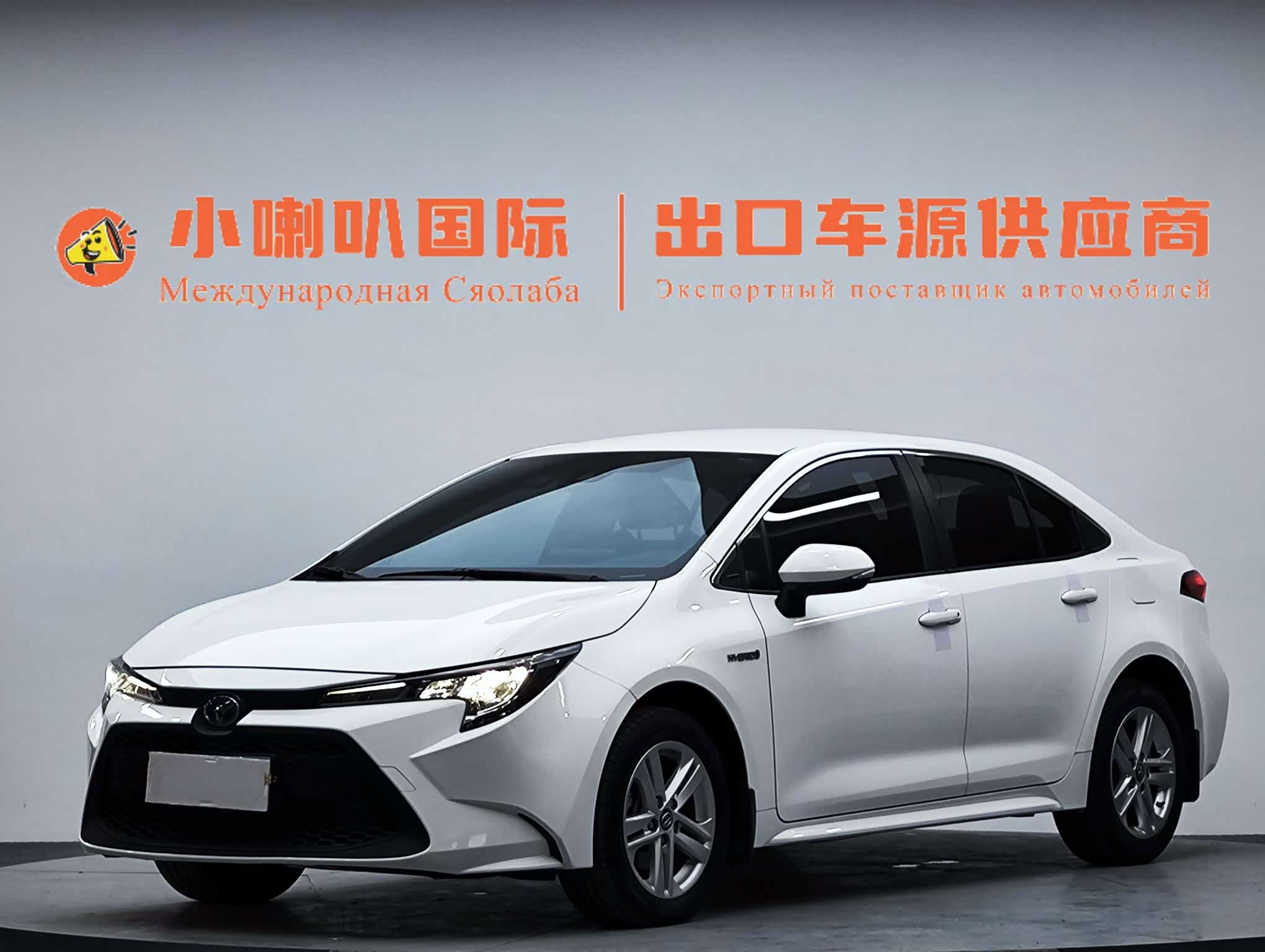 Toyota Levin, фото 1 из 1
