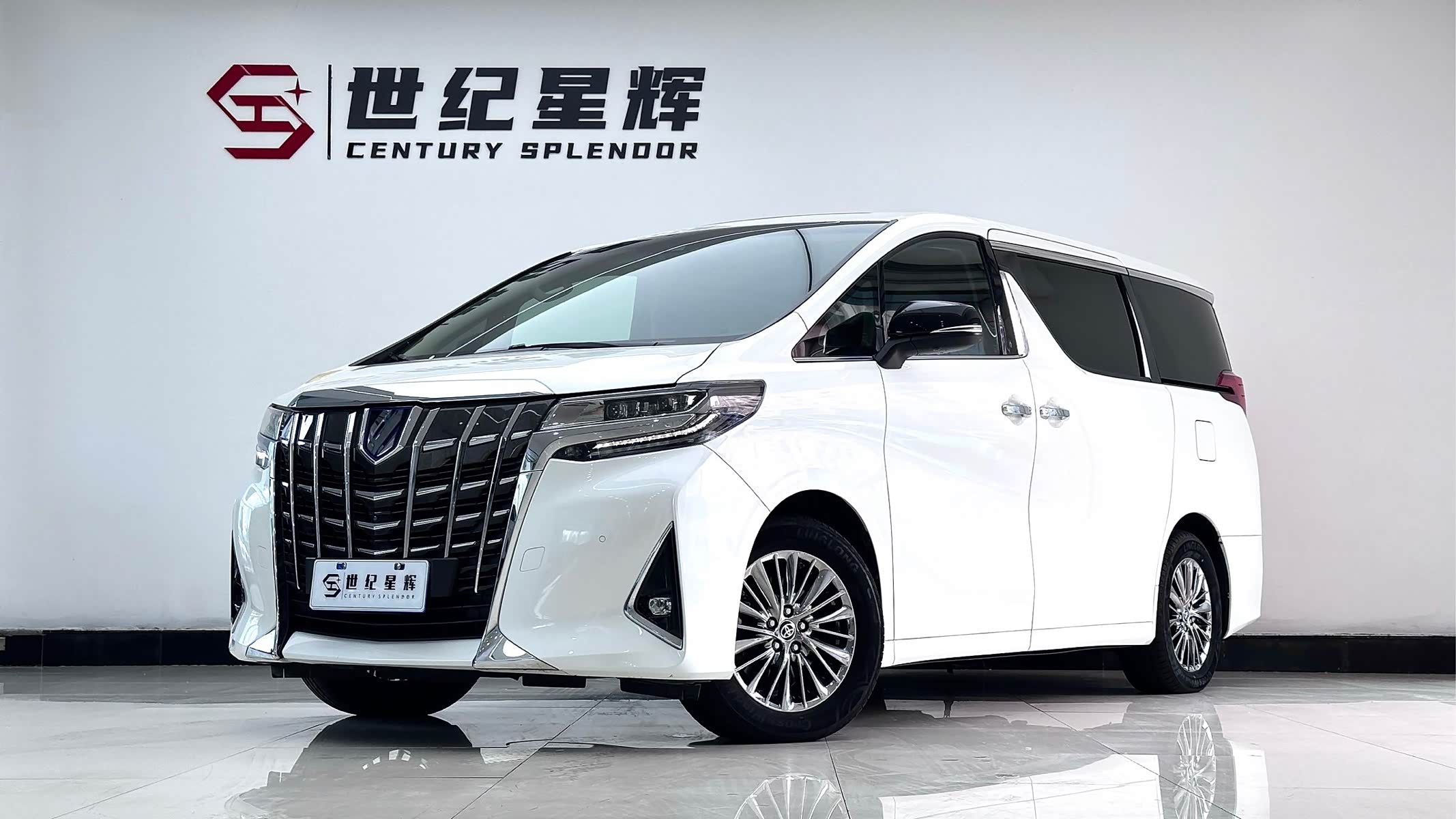 Toyota Alphard, фото 1 из 1