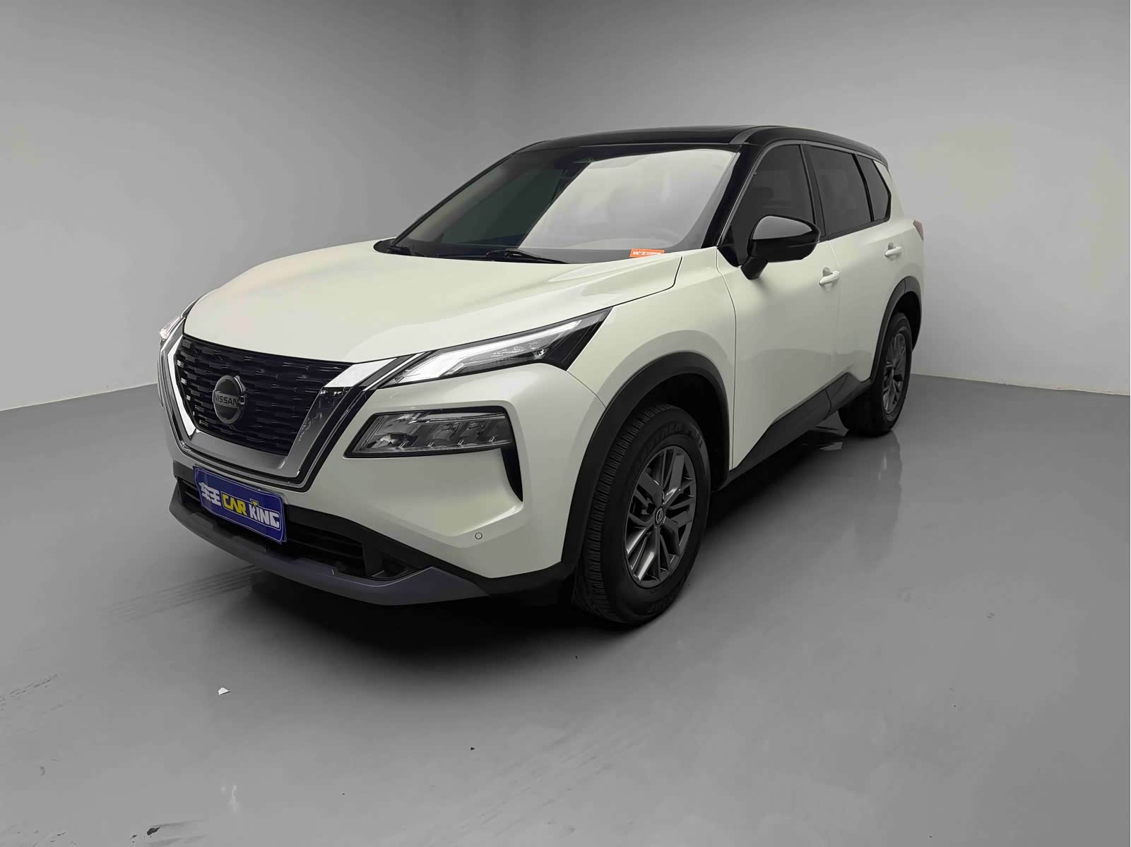Nissan X-Trail, фото 1 из 1