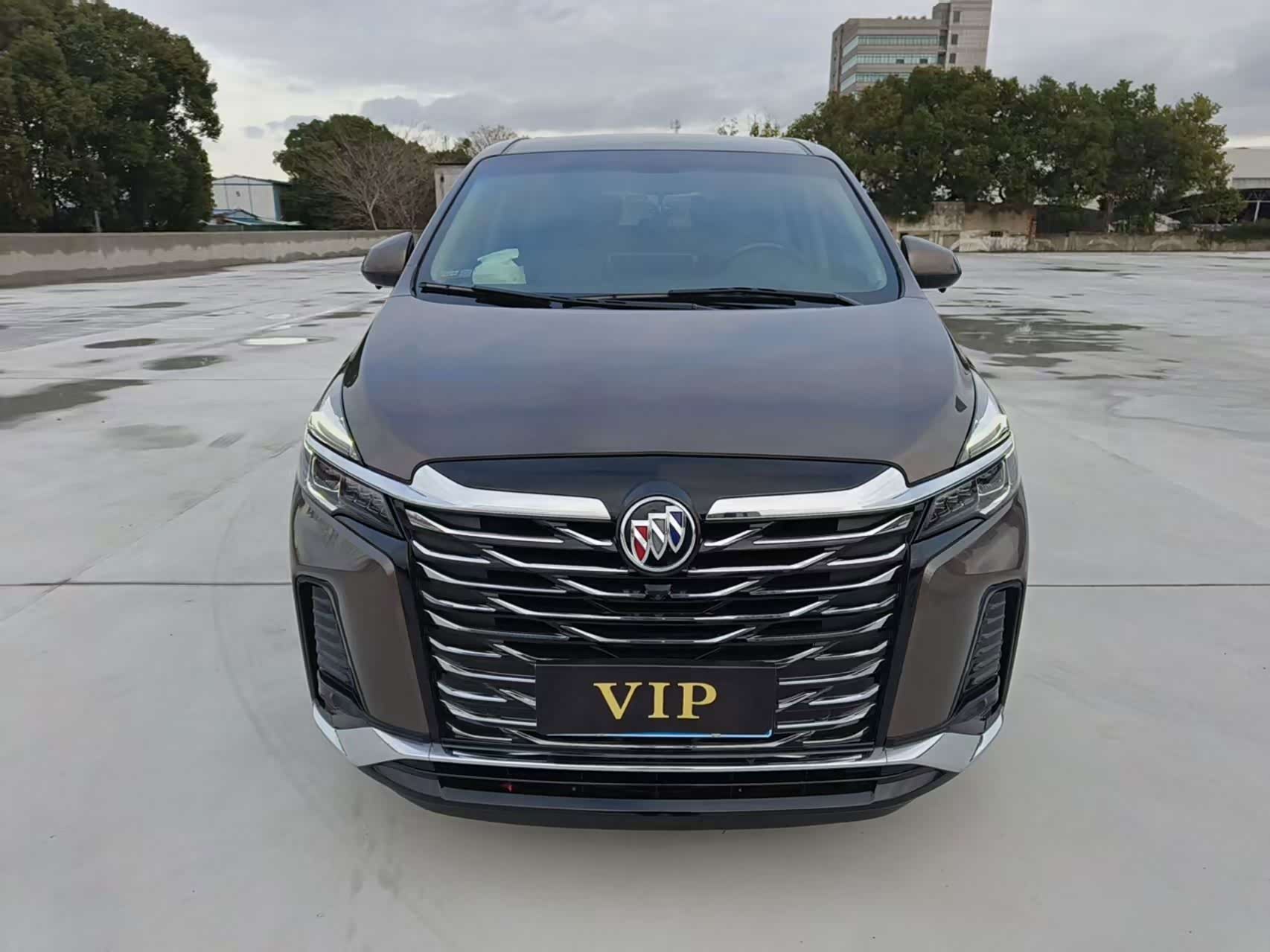 Buick GL8, фото 1 из 1