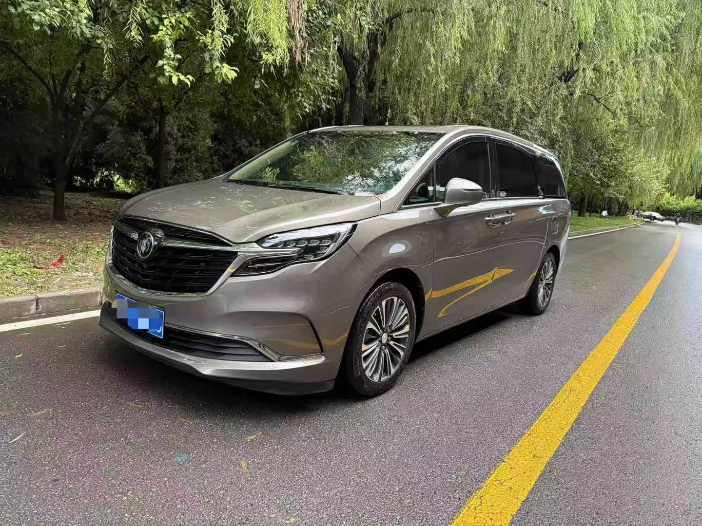 Buick GL8, фото 1 из 1