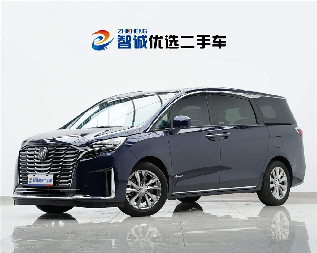 Buick GL8, фото 1 из 1