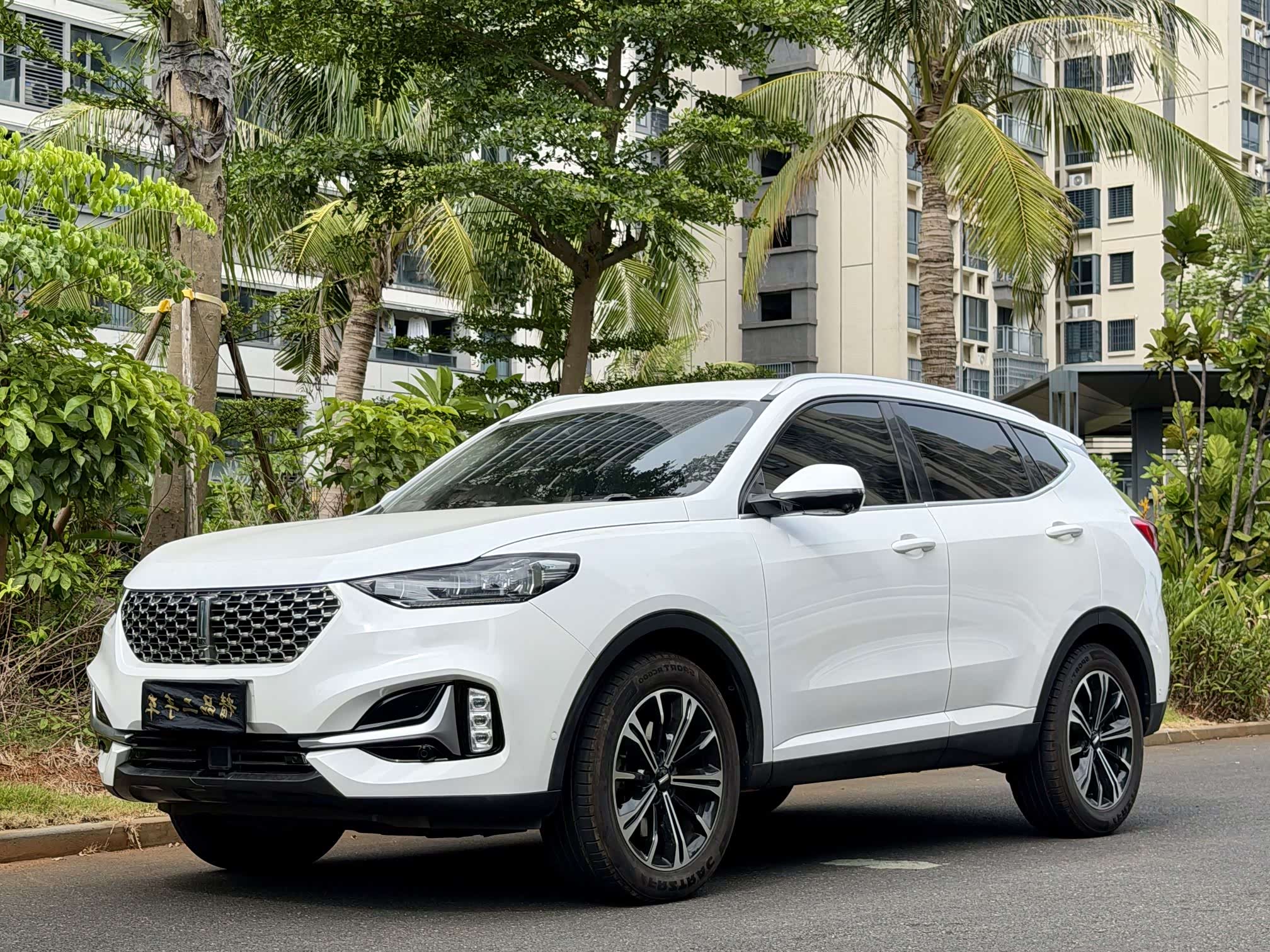 Wey VV6