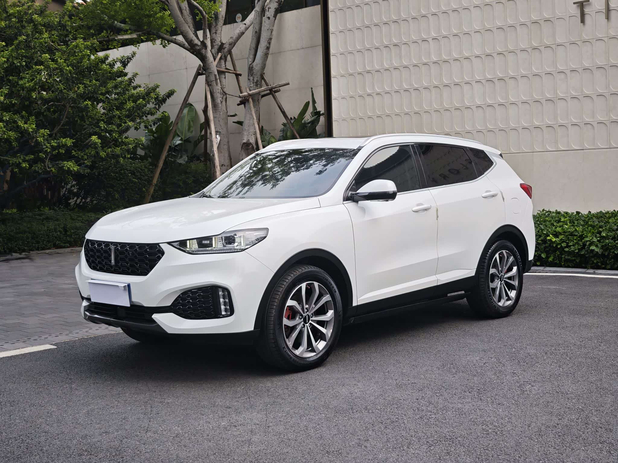 Wey VV6, фото 1 из 1