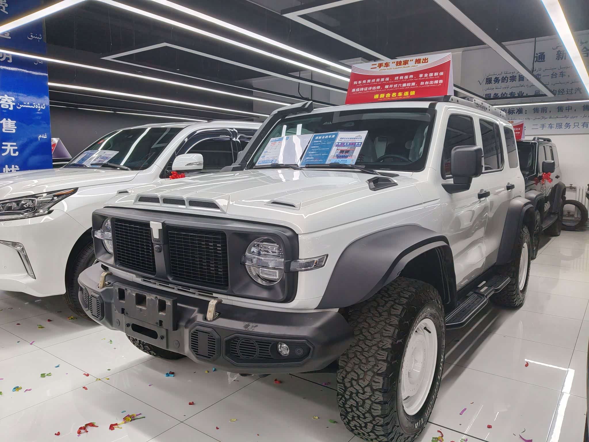 Tank 300, фото 1 из 1
