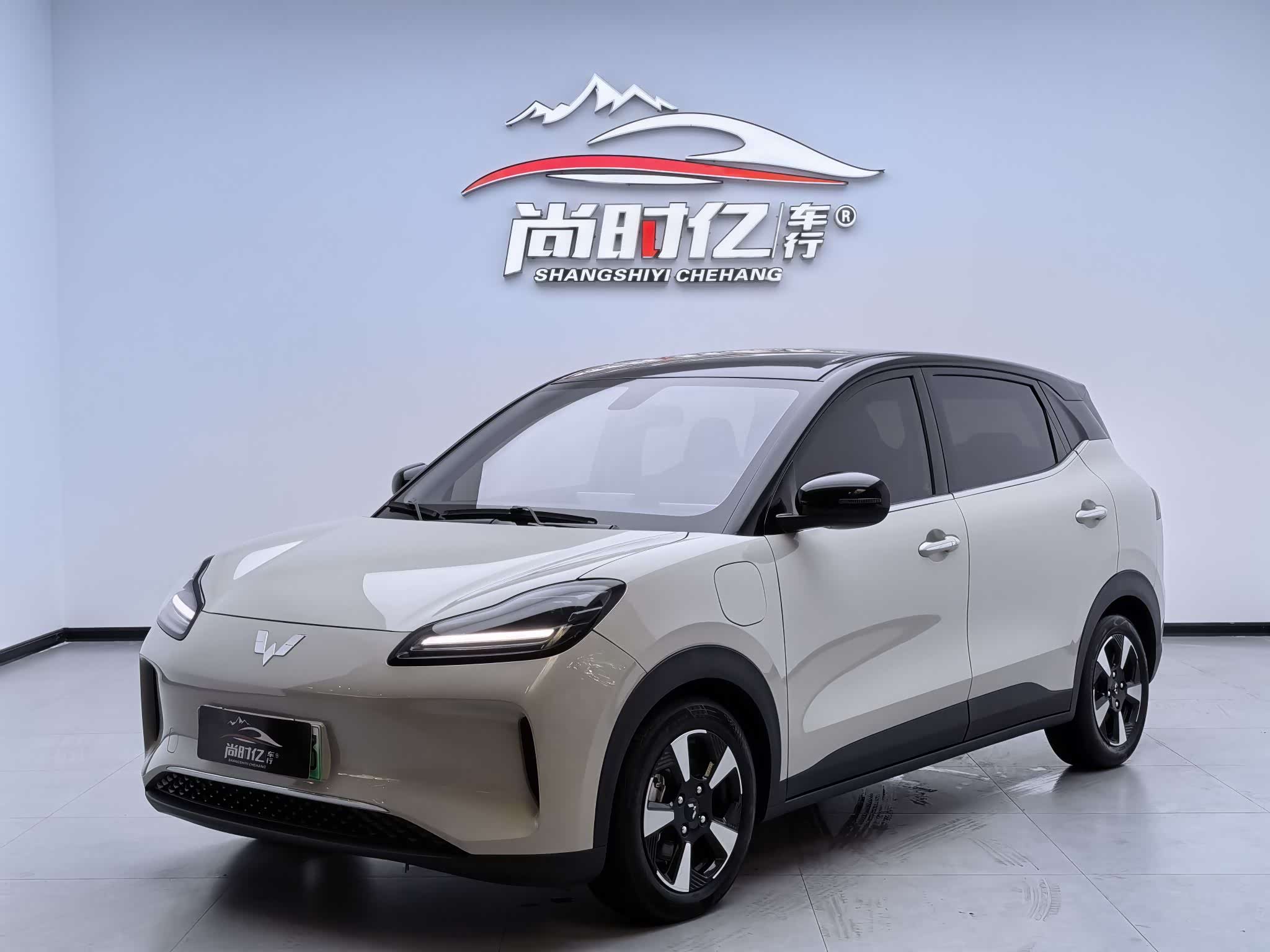 Wuling Binguo Plus, фото 1 из 1