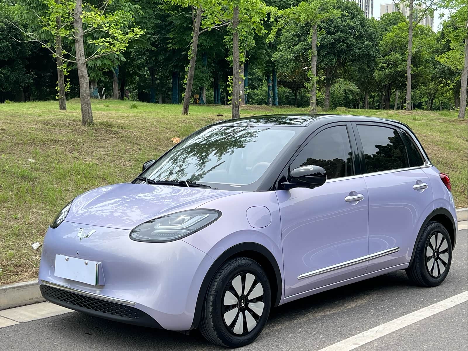 Wuling Binguo, фото 1 из 1