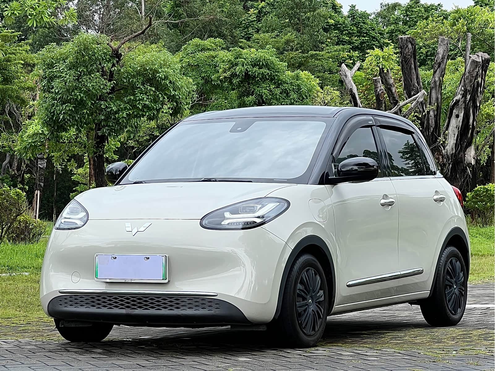 Wuling Binguo, фото 1 из 1