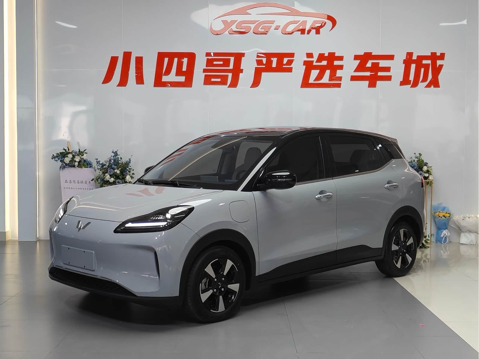 Wuling Binguo Plus, фото 1 из 1