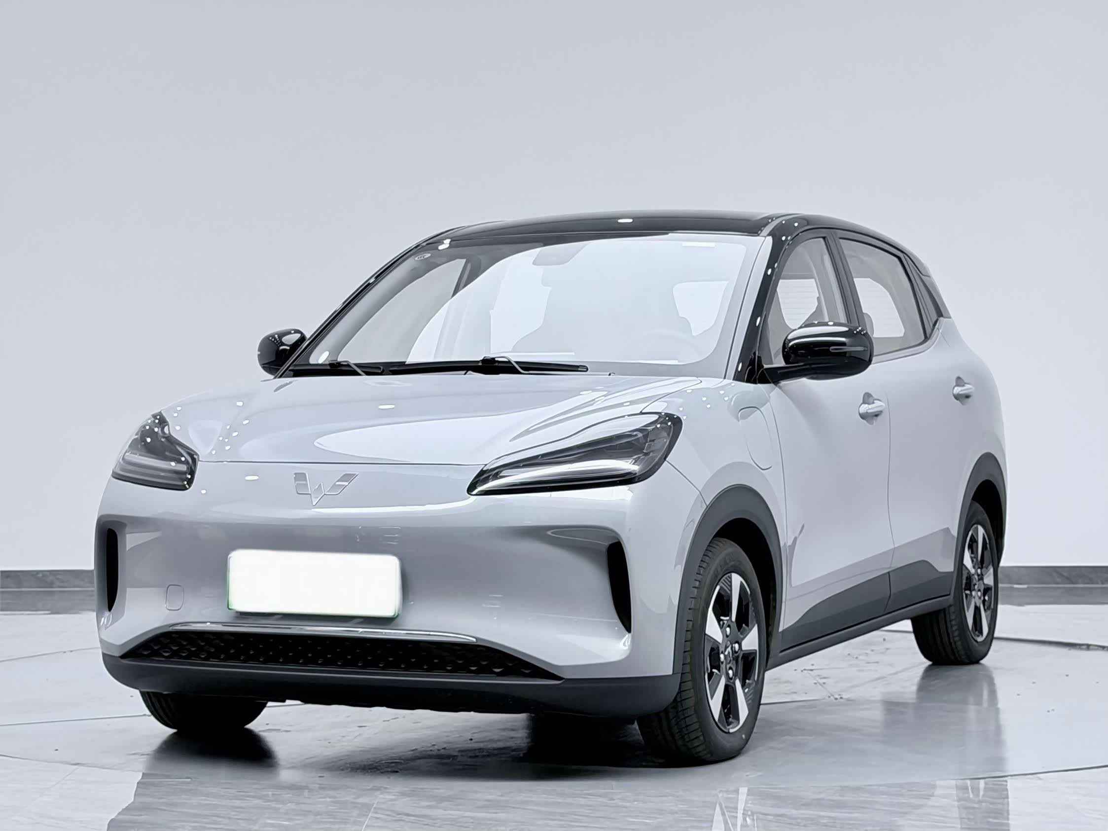 Wuling Binguo Plus, фото 1 из 1