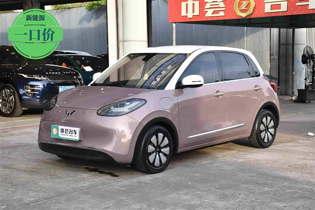 Wuling Binguo