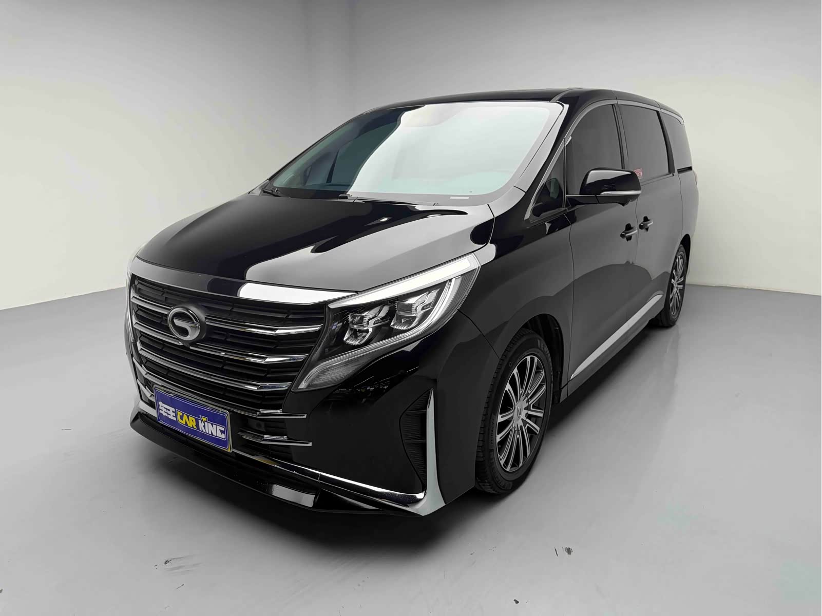 Trumpchi M8 (Xiangwang M8), фото 1 из 1
