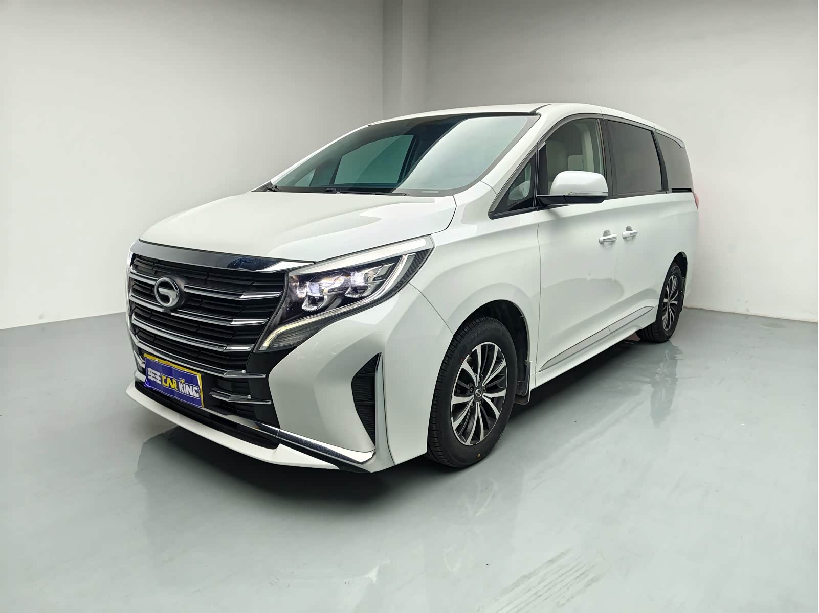 Trumpchi M8 (Xiangwang M8), фото 1 из 1