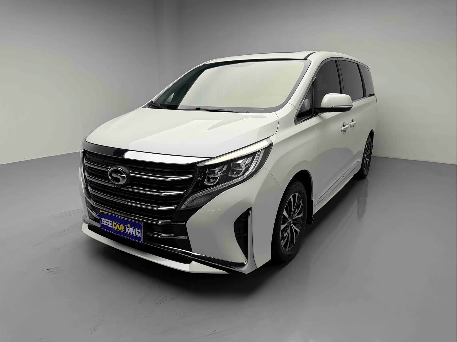 Trumpchi M8 (Xiangwang M8), фото 1 из 1