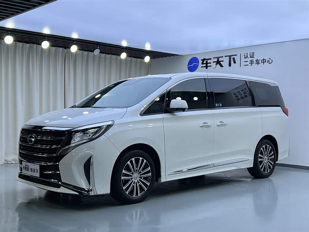 Trumpchi M8 (Xiangwang M8), фото 1 из 1